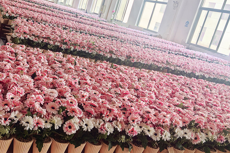 Montaje de plantas en macetas