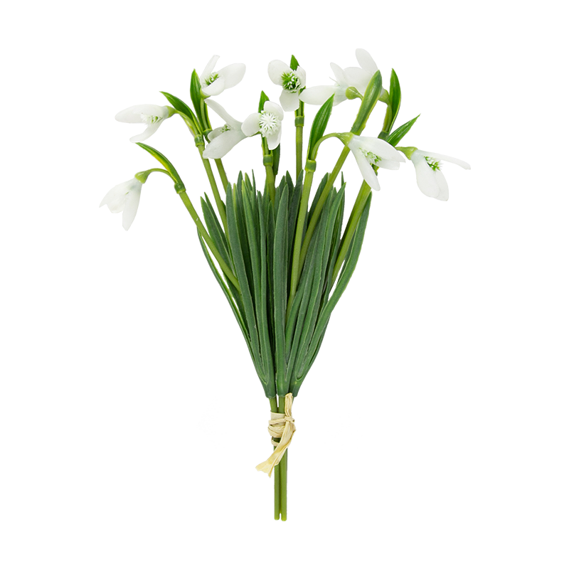 Narciso artificial de 11,5