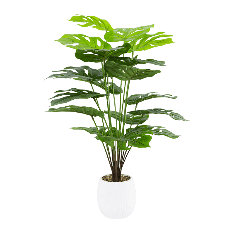Palmera de 18 hojas en maceta PP