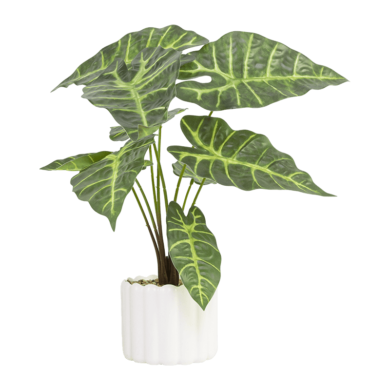 Taro con 9 Hojas en PP PT 40cm