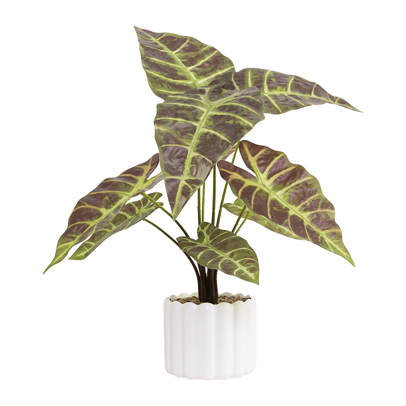 Taro con 9 Hojas en PP PT 40cm