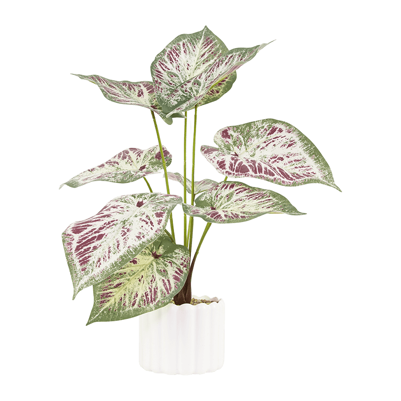 Taro con 9 Hojas en PP PT 40cm