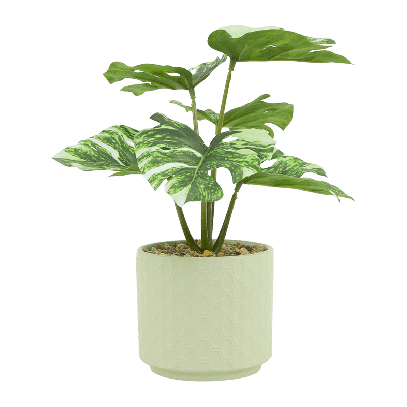 Taro con 8 Hojas en Cerámica PT 23cm