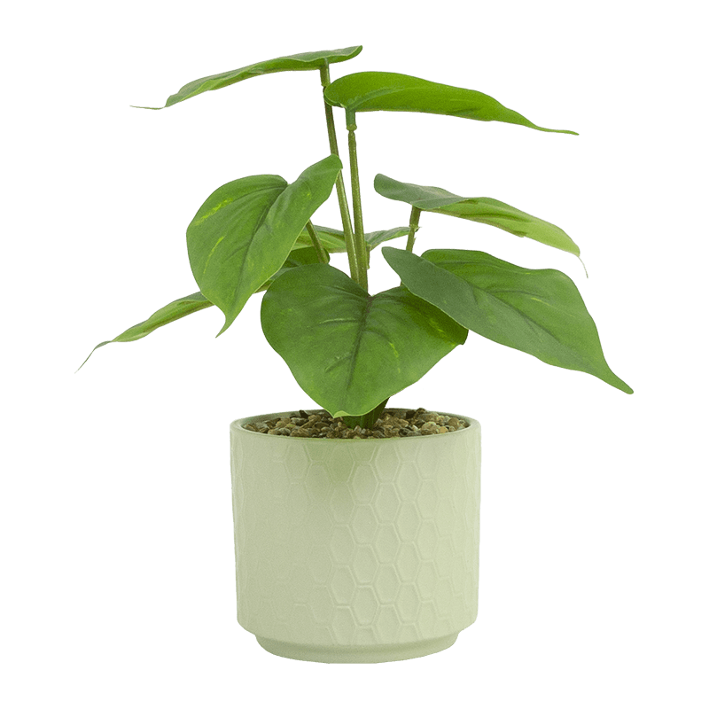 Taro con 8 Hojas en Cerámica PT 23cm