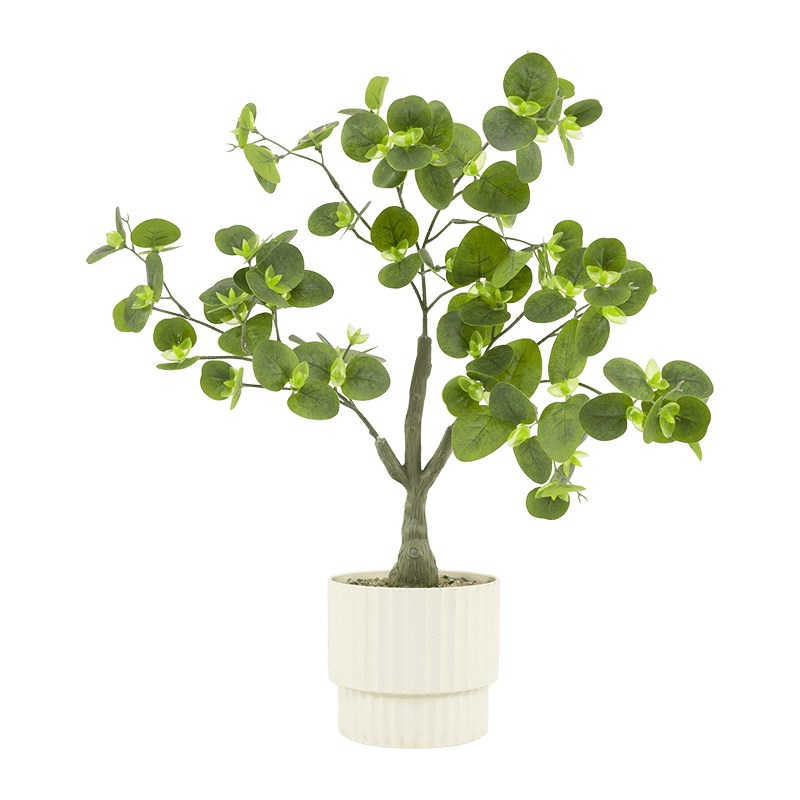 Planta de Eculyptus en PP PT 46cm