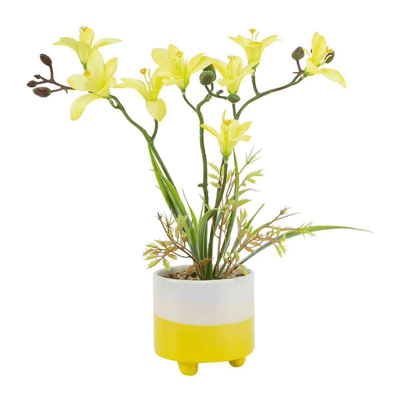 Maceta de cerámica Narcissus con tres tallos y ocho flores