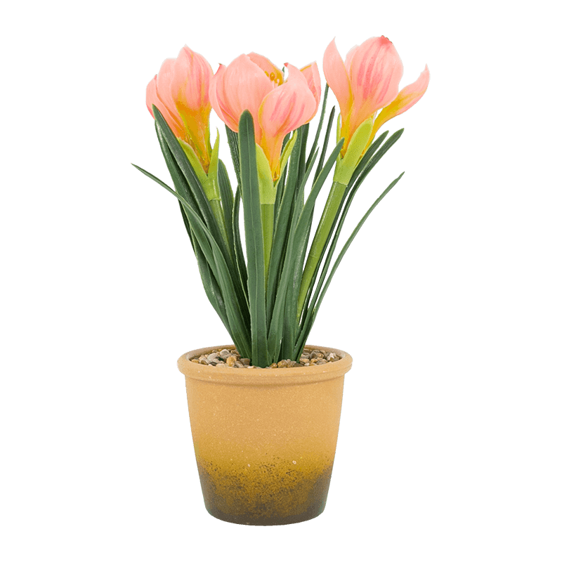Narciso en Maceta de Melamina Con 3 Flores 28cm