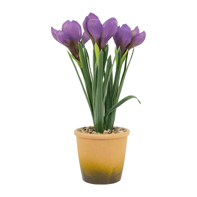 Narciso en Maceta de Melamina Con 3 Flores 28cm