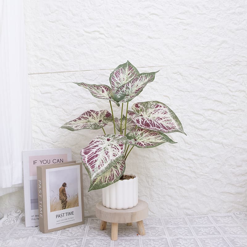 Taro con 9 Hojas en PP PT 40cm