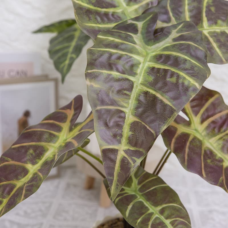 Taro con 9 Hojas en PP PT 40cm