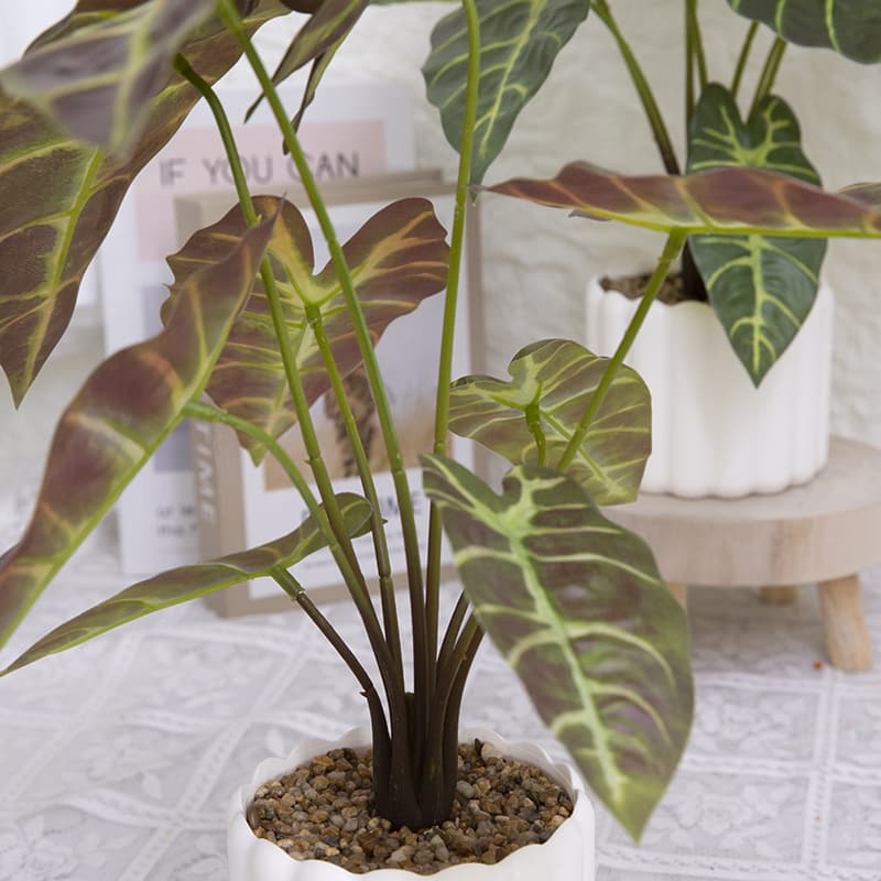 Taro con 9 Hojas en PP PT 40cm