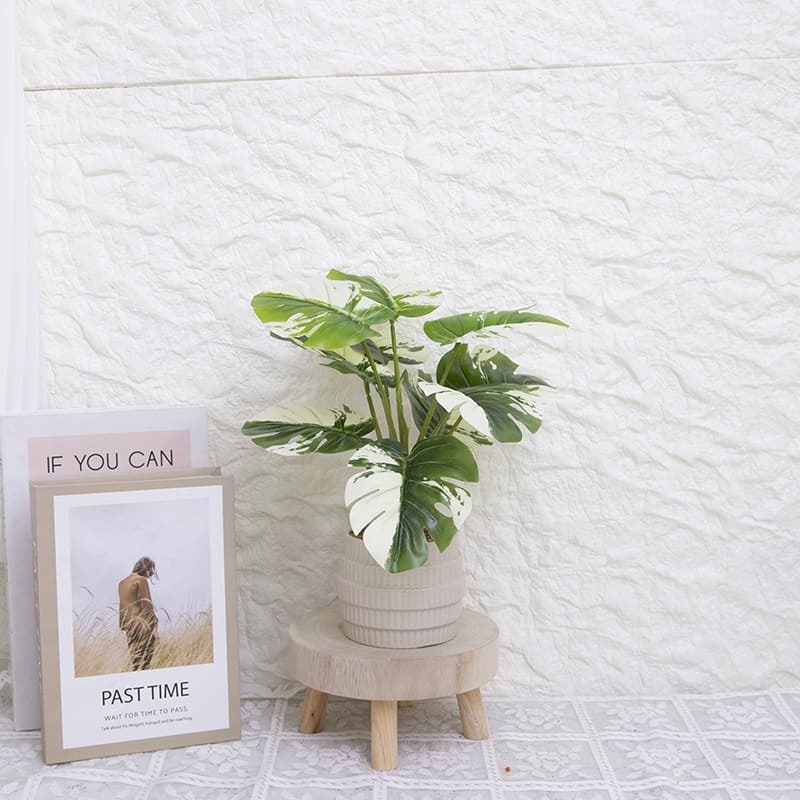 Palmera con 10 Hojas en Maceta Cerámica