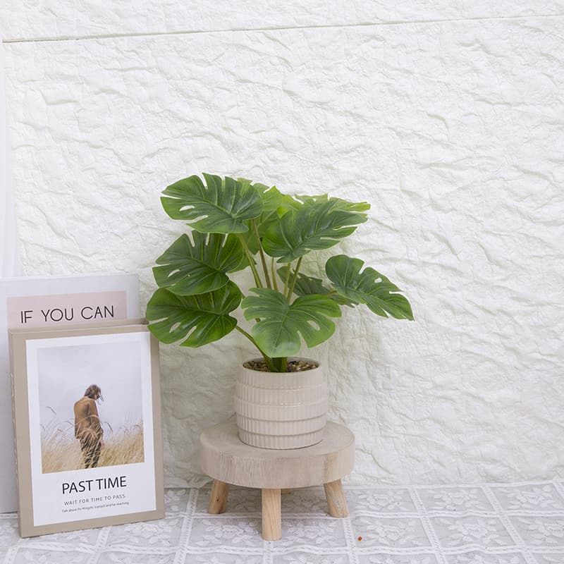 Palmera con 10 Hojas en Maceta Cerámica