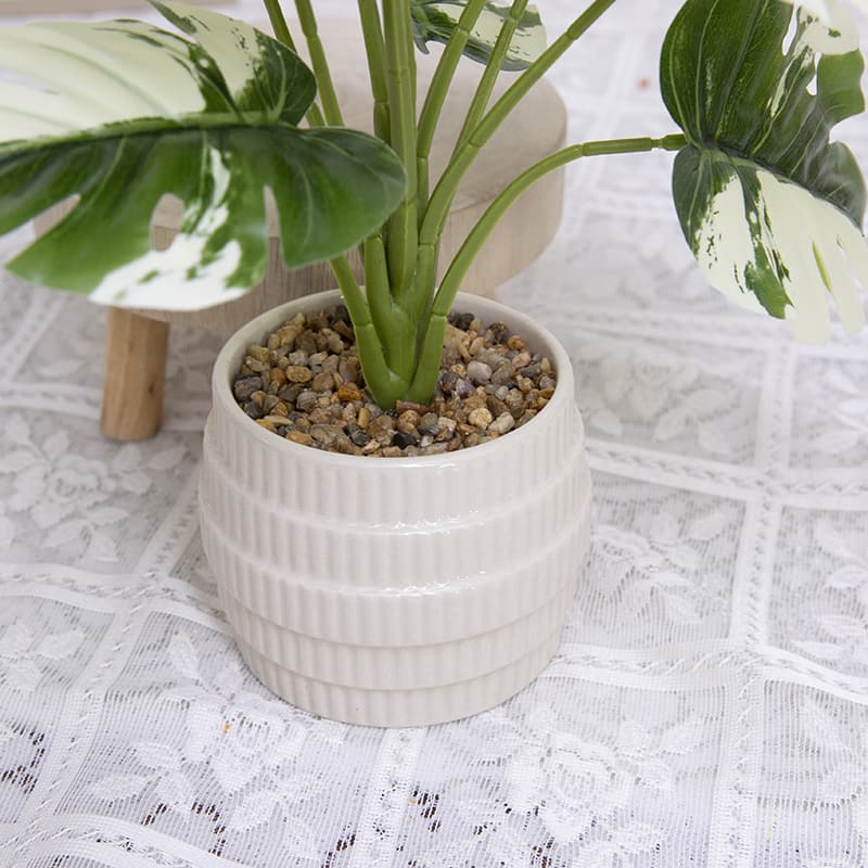Palmera con 10 Hojas en Maceta Cerámica