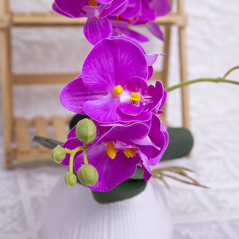 Orquídea mariposa de 24 flores con maceta de cerámica