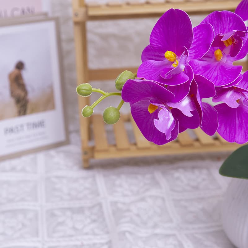 Orquídea mariposa de 24 flores con maceta de cerámica