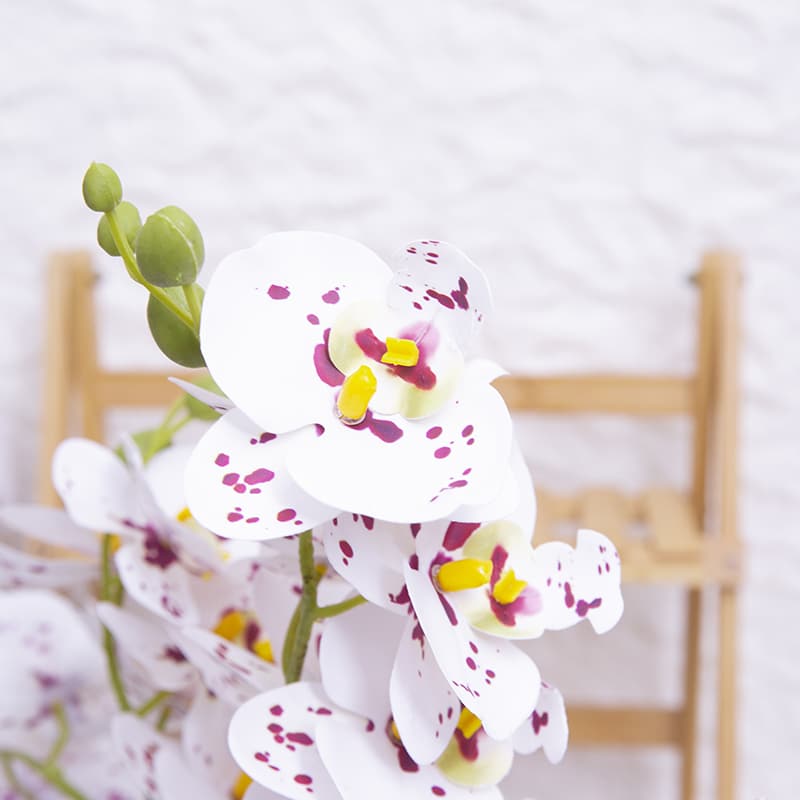 Orquídea mariposa de 24 flores con maceta de cerámica