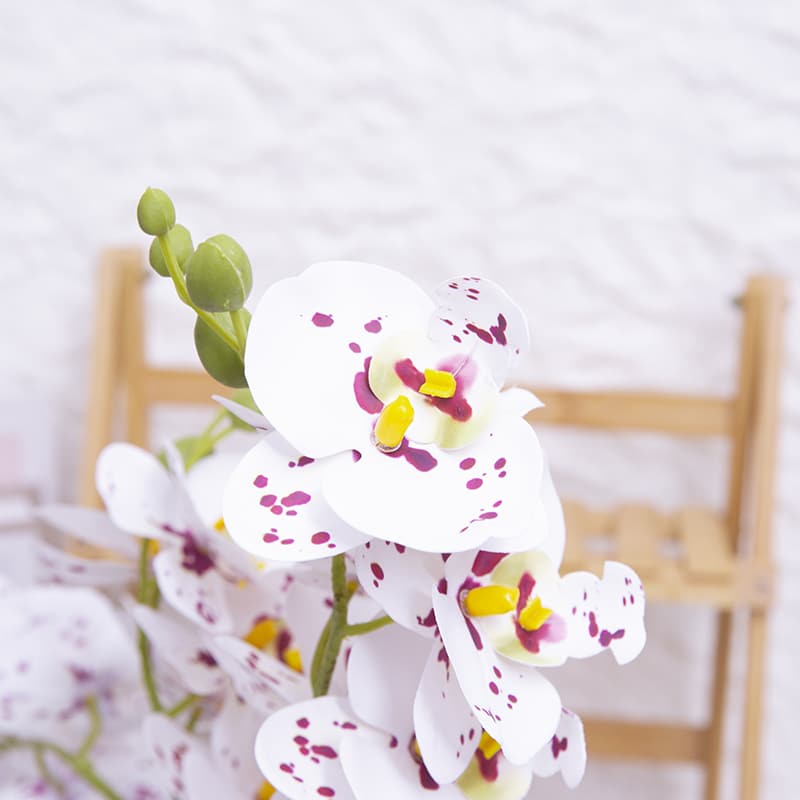 Orquídea mariposa de 24 flores con maceta de cerámica
