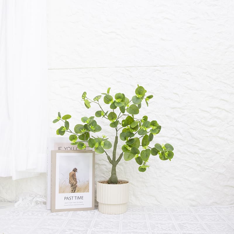 Planta de Eculyptus en PP PT 46cm