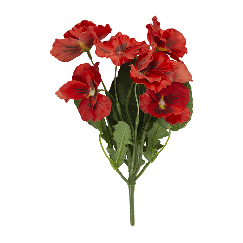 Flor de pansy con 8 flores