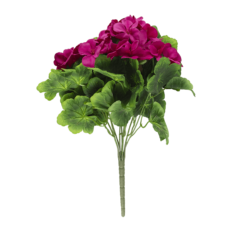 Arbusto de flores Begonia x 9 tallos