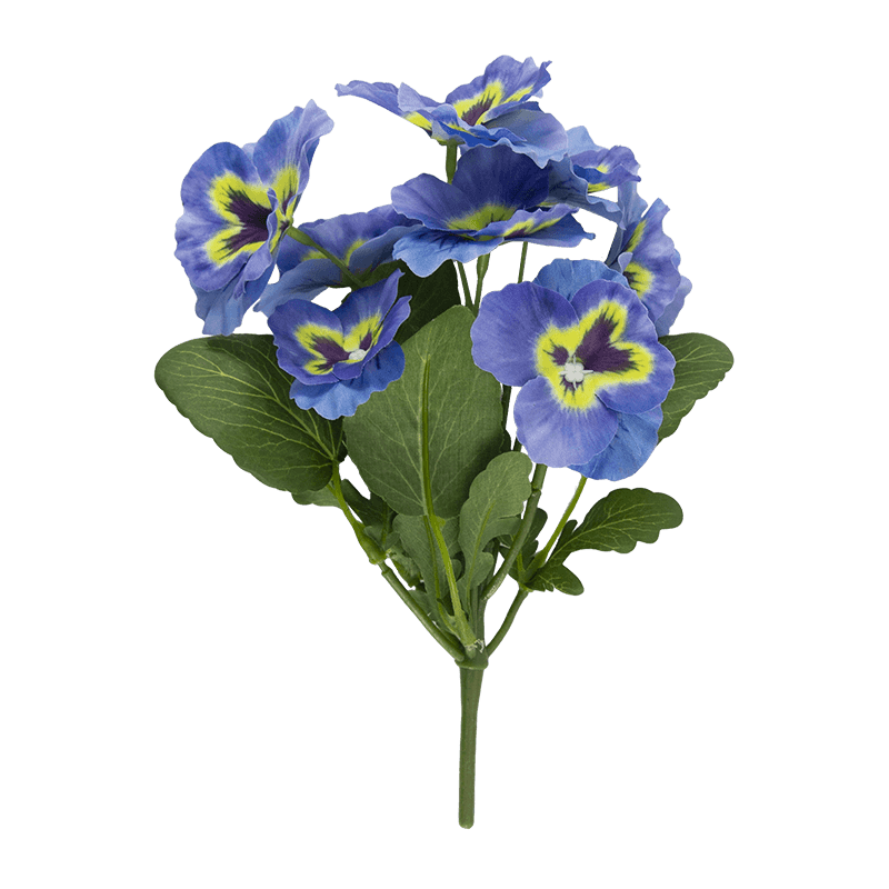 Flor de pansy con 8 flores