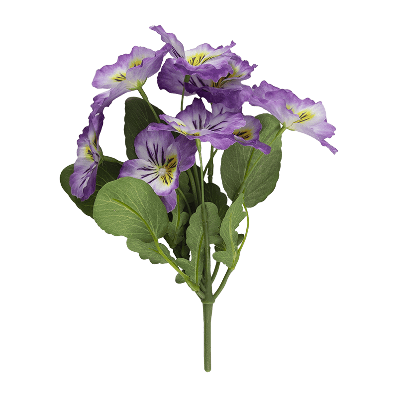 Flor de pansy con 8 flores