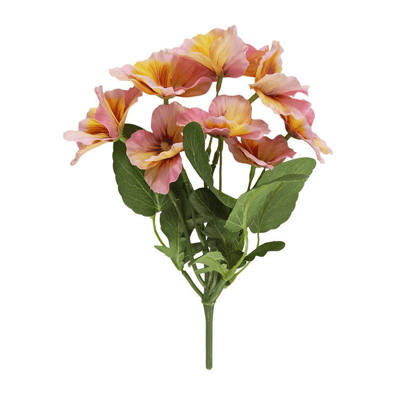 Flor de pansy con 8 flores