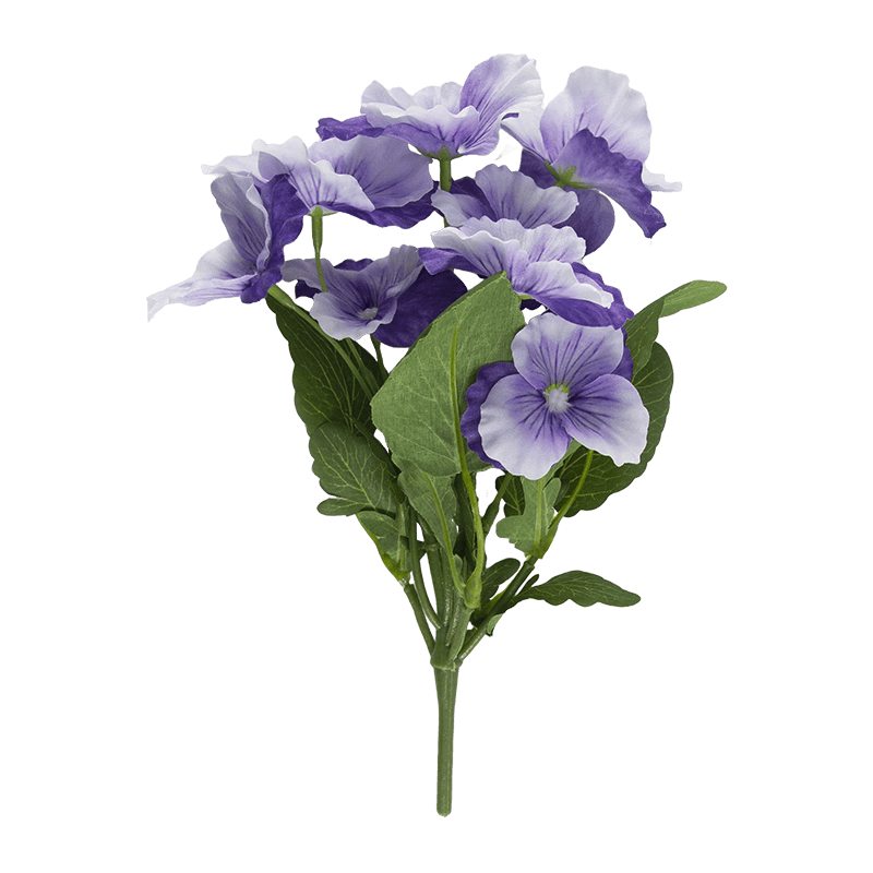 Flor de pansy con 8 flores
