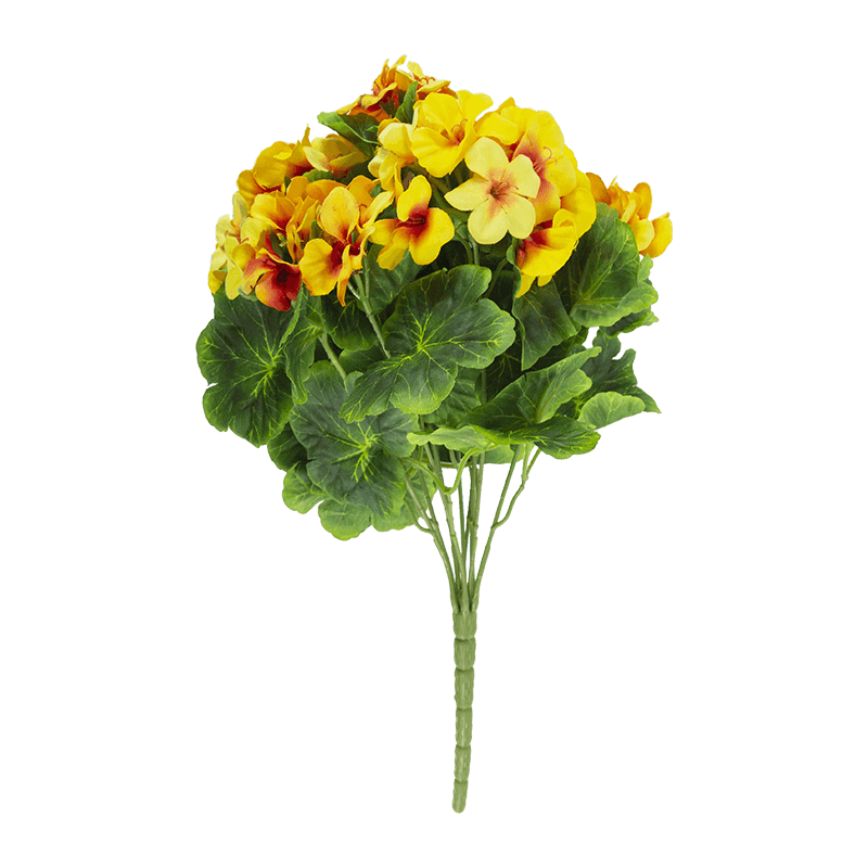 Arbusto de flores Begonia x 9 tallos