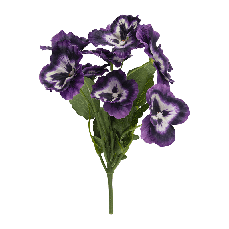 Flor de pansy con 8 flores