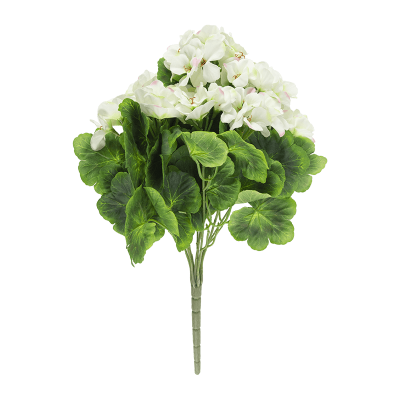 Arbusto de flores Begonia x 9 tallos