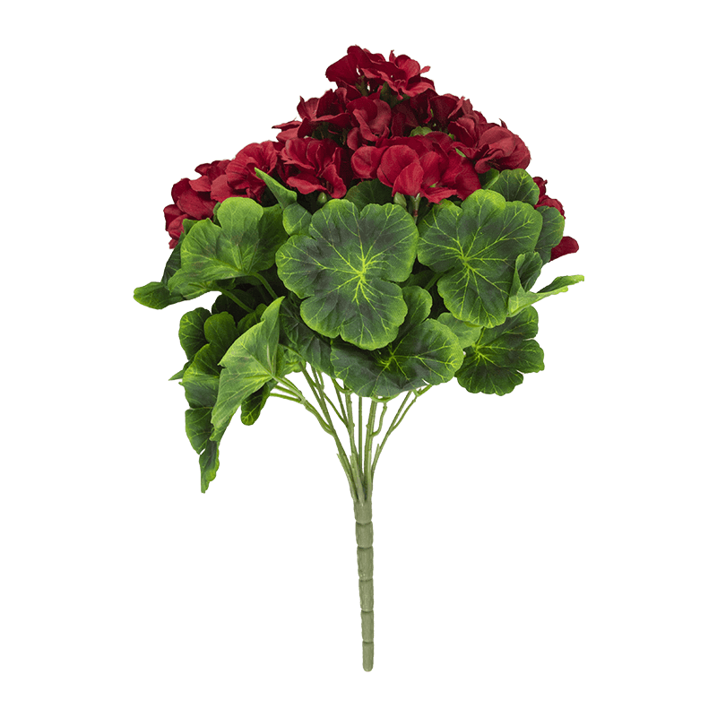 Arbusto de flores Begonia x 9 tallos