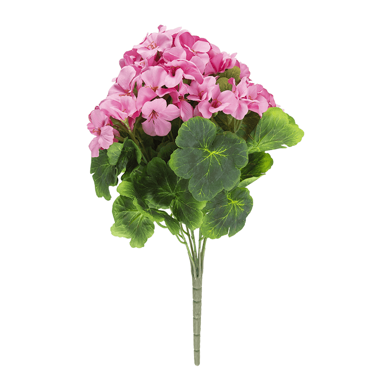 Arbusto de flores Begonia x 9 tallos
