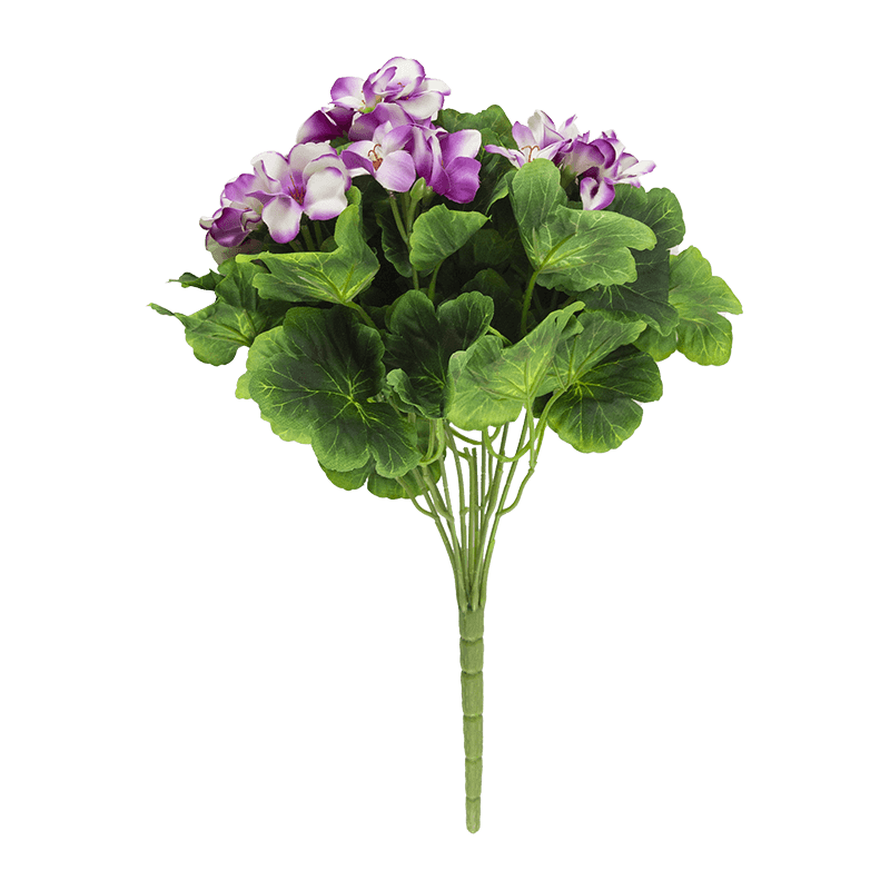 Arbusto de flores Begonia x 9 tallos