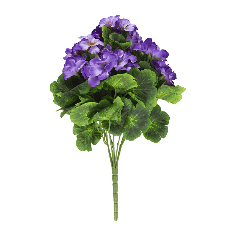 Arbusto de flores Begonia x 9 tallos