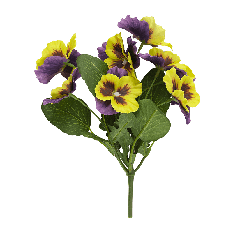 Flor de pansy con 8 flores