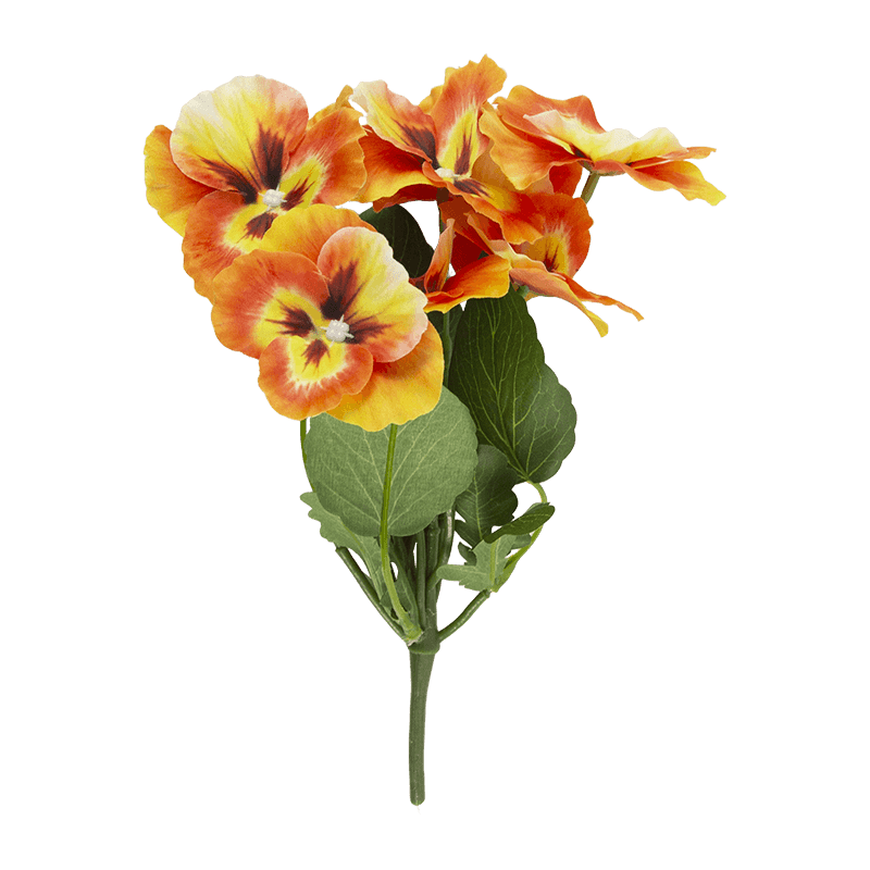 Flor de pansy con 8 flores