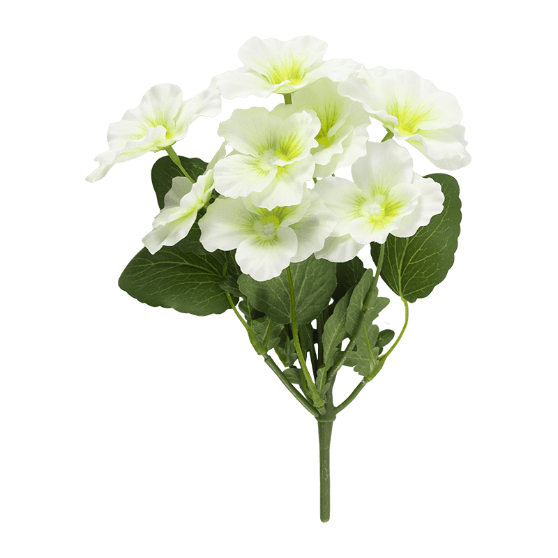 Flor de pansy con 8 flores
