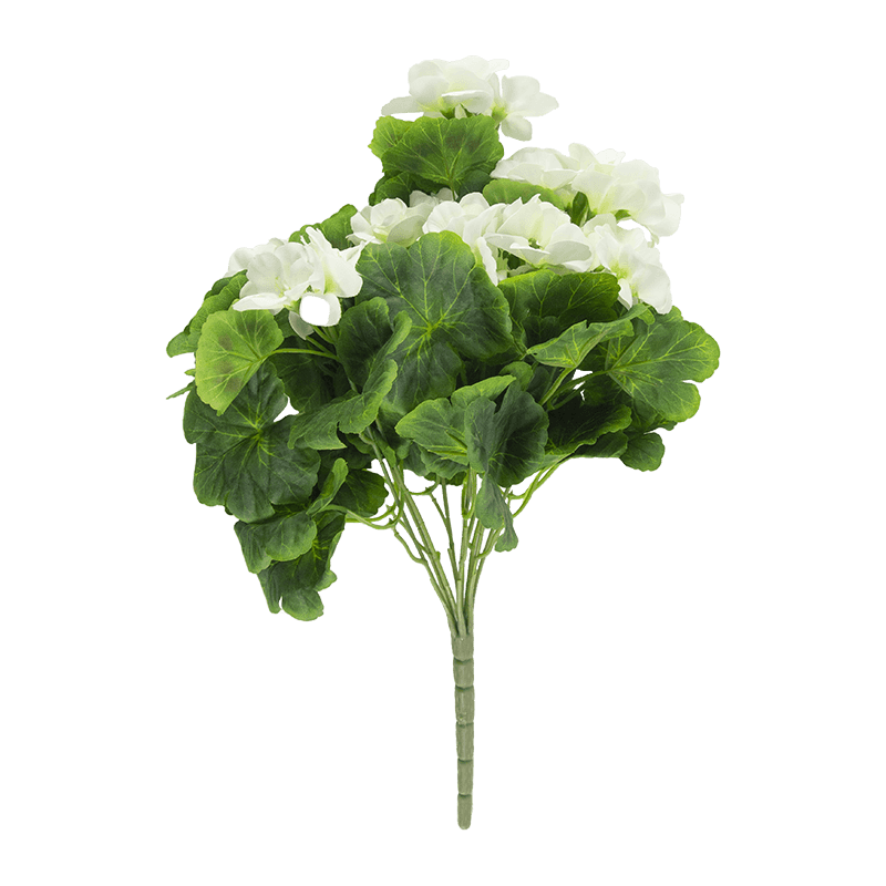 Arbusto de flores Begonia x 9 tallos