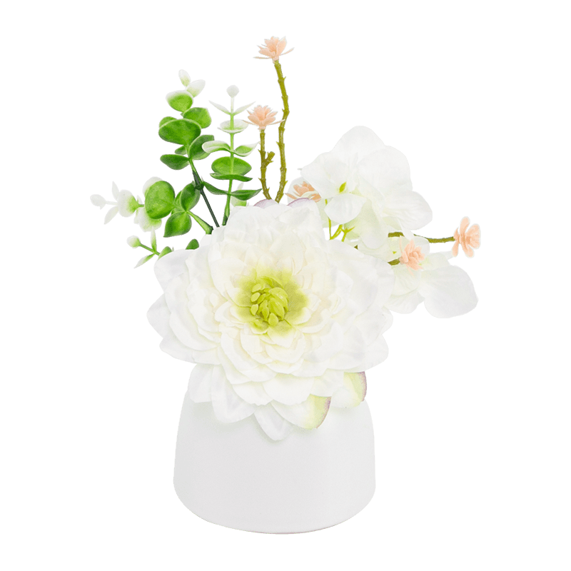 Olla de cerámica de eucalipto con hortensia de dalia roja, morada y blanca