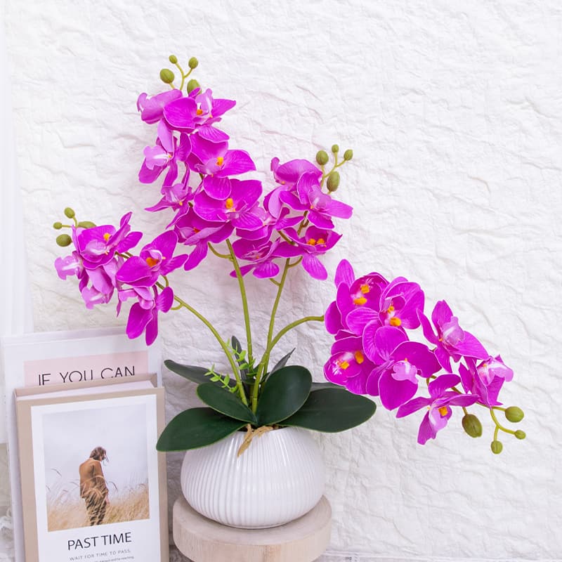 Orquídea mariposa de 24 flores con maceta de cerámica