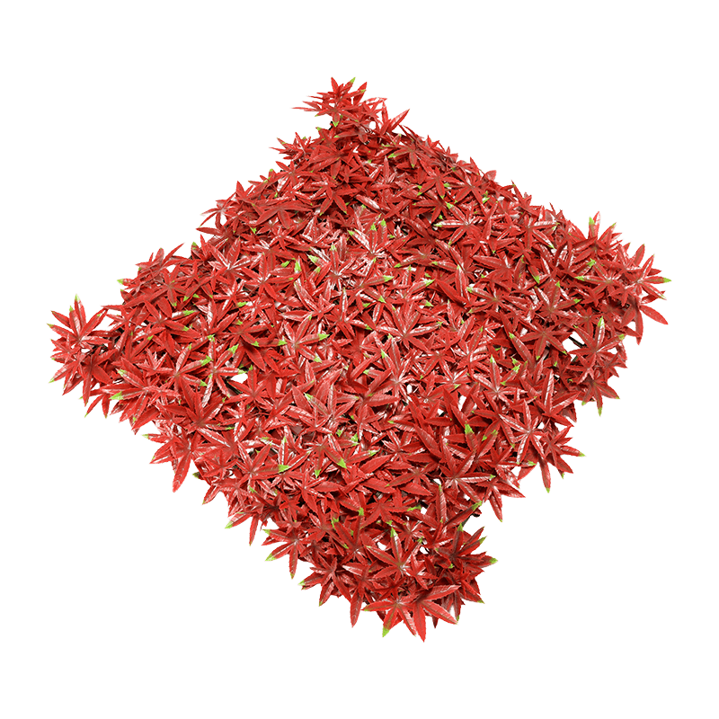 Césped artificial de arce rojo rosa