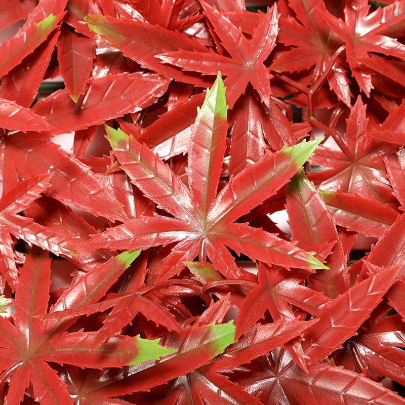 Césped artificial de arce rojo rosa