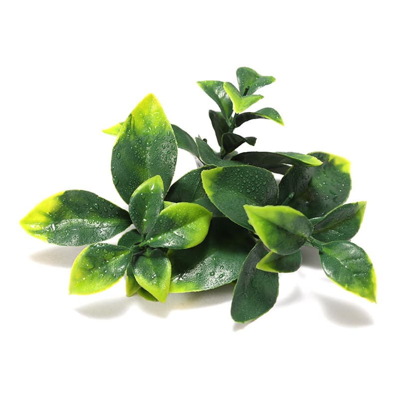 Césped artificial con hojas de Osmanthus