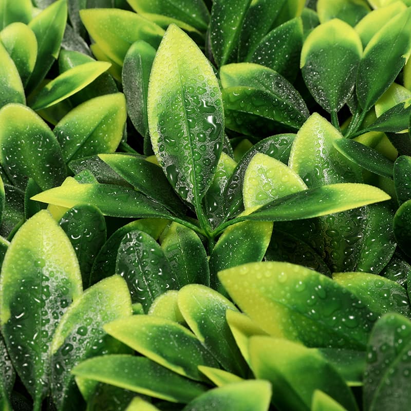 Césped artificial Fortune Leaf