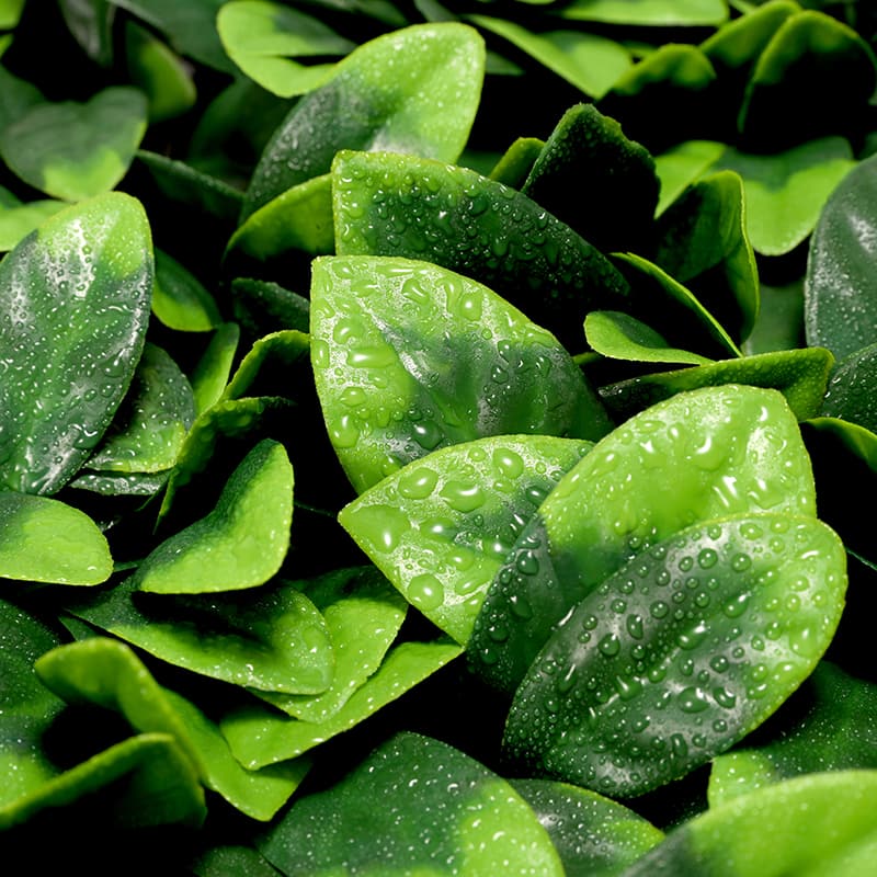 Césped artificial Gardenia Leaf