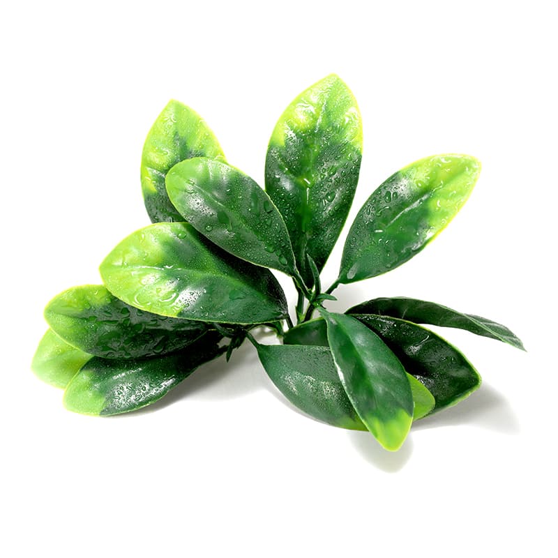 Césped artificial Gardenia Leaf