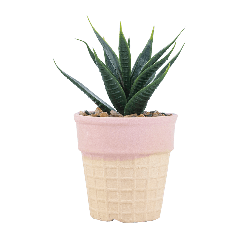 Suculenta artificial en olla para helado