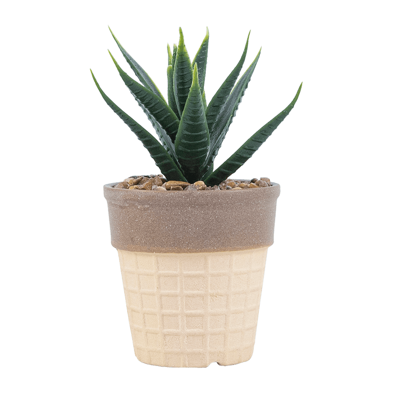 Suculenta artificial en olla para helado